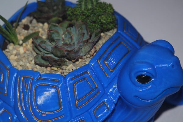 LE POT DE FLEUR TORTUE – Image 2